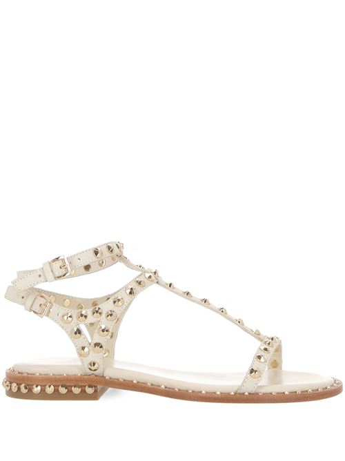 white calf leather grained texture gold-tone stud Ash | PANIC02BEIGE/WHT/ARIELGOL