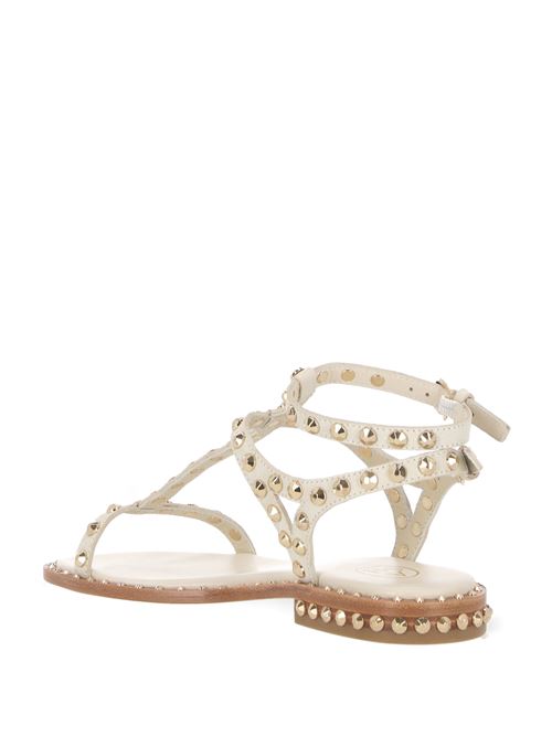 white calf leather grained texture gold-tone stud Ash | PANIC02BEIGE/WHT/ARIELGOL