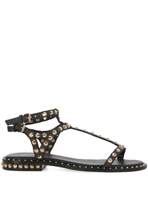 black calf leather grained texture gold-tone stud Ash | PANIC03BEIGE/BLK/ARIELGOL