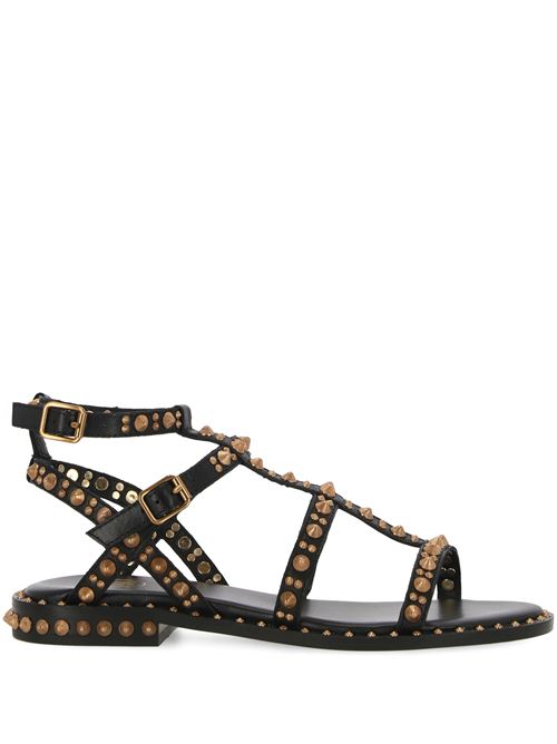 PEPSY Soft Brasil Black/Sun Gold Studs Ash | PEPSY01BLACK/SUNGOLD