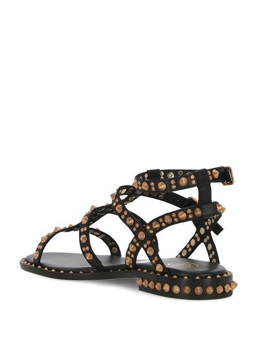 PEPSY Soft Brasil Black/Sun Gold Studs Ash | PEPSY01BLACK/SUNGOLD