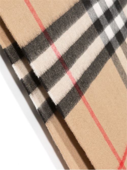  Burberry | 8076576X