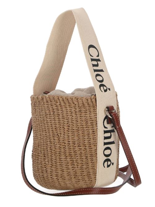 Small Woody basket bag in natural fibres CHLOE | C22SS381G55101